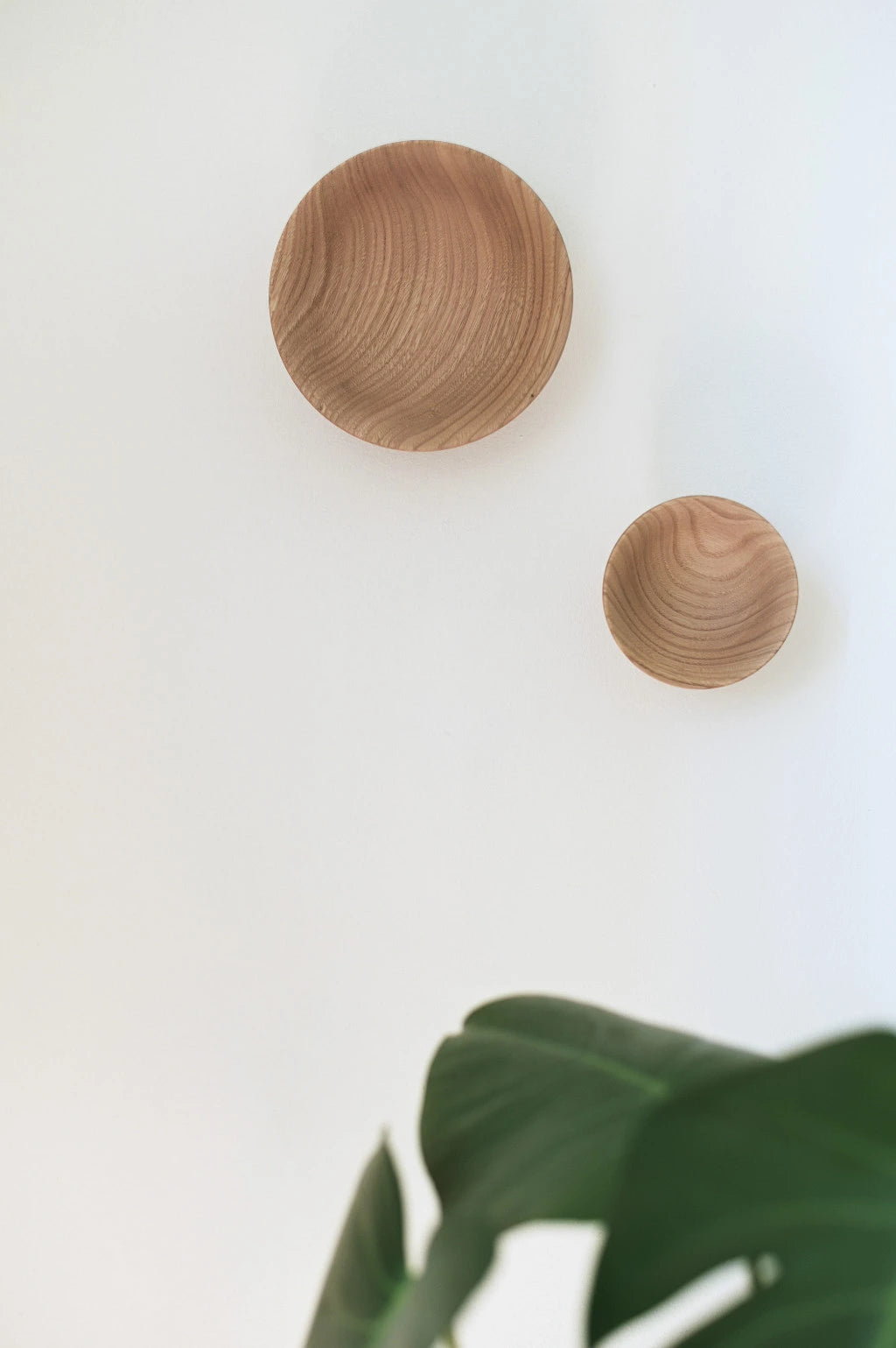 ADAO Coat Pegs