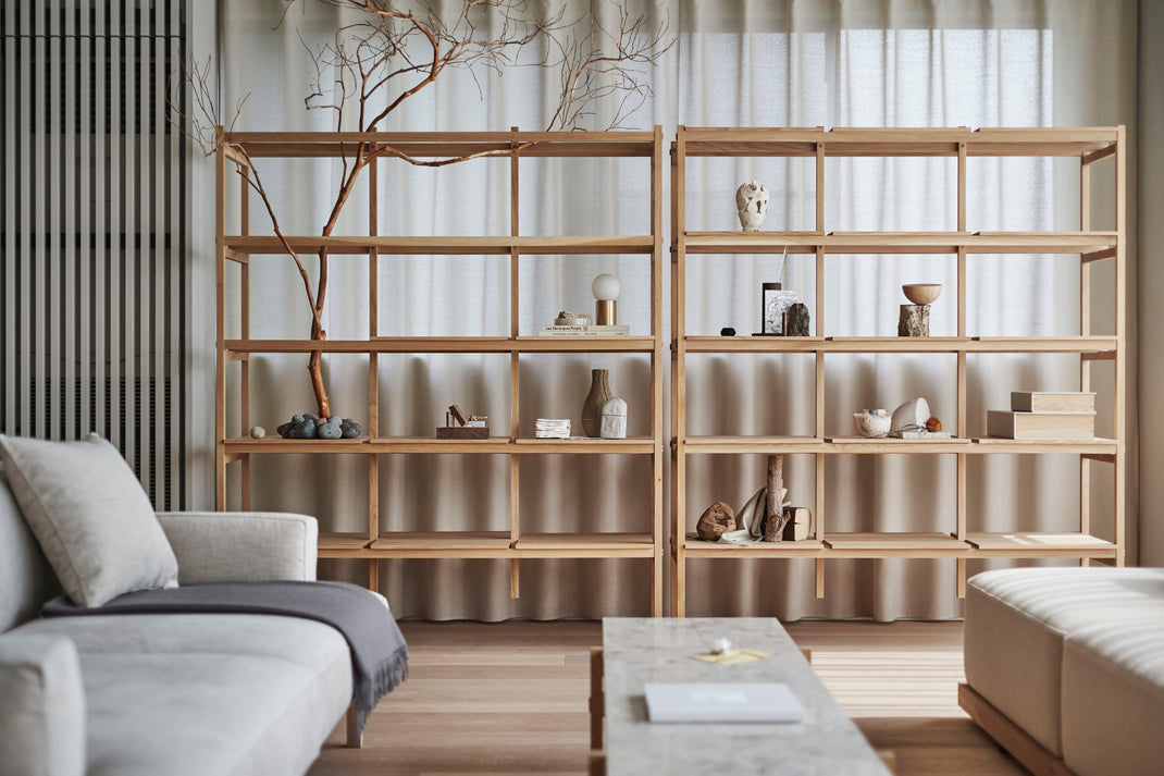N-SS01 Shelves