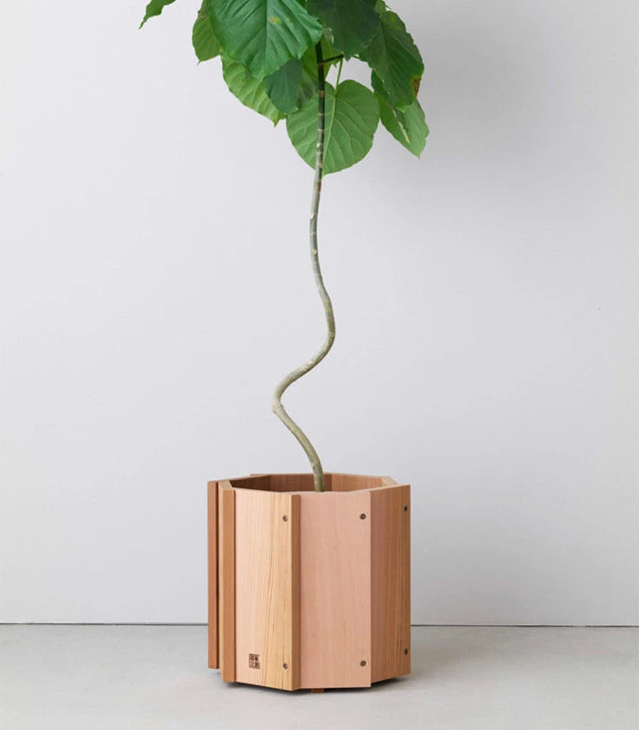 STAVE Planter