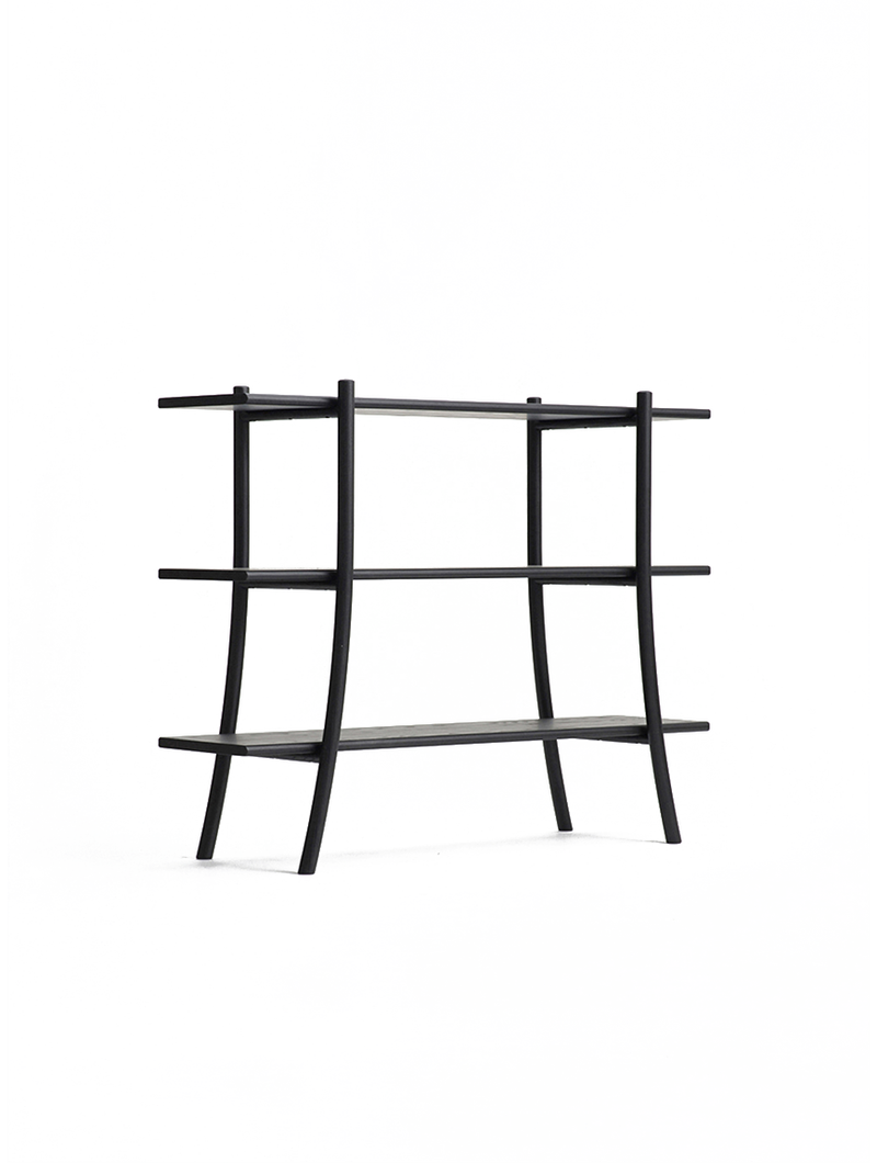SKYLADDER Shelves