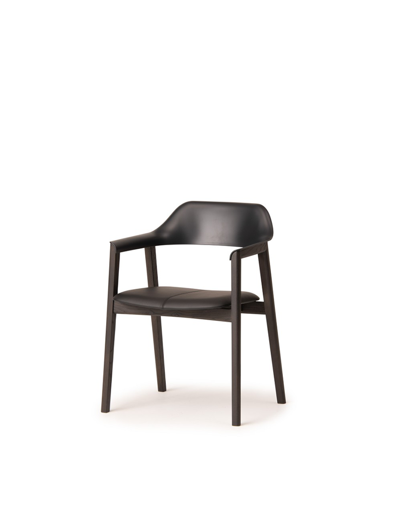 TEN Armchair-Resin Back
